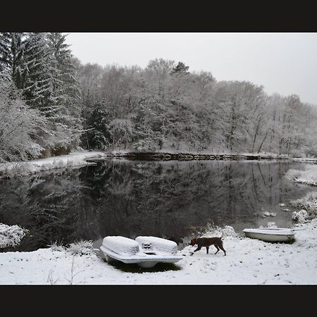 Cabane Limousine Au Bord D'Un Etang Bonnac-la-Côte Exteriör bild