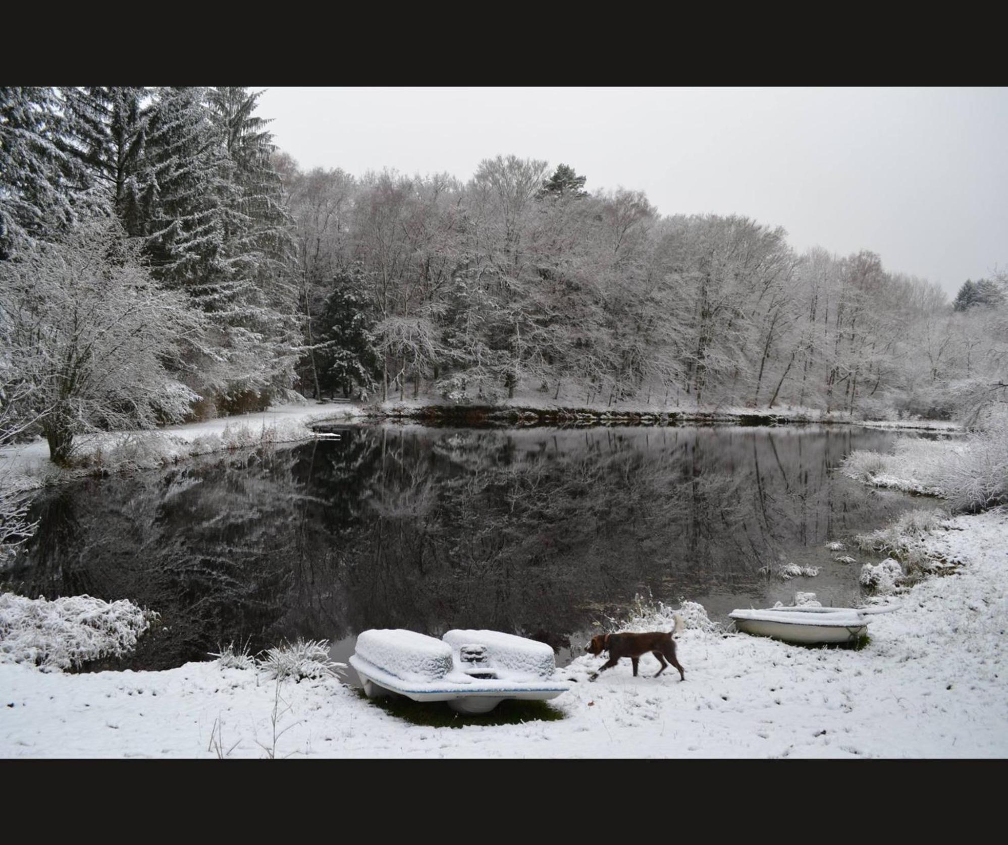 Cabane Limousine Au Bord D'Un Etang Bonnac-la-Côte Exteriör bild