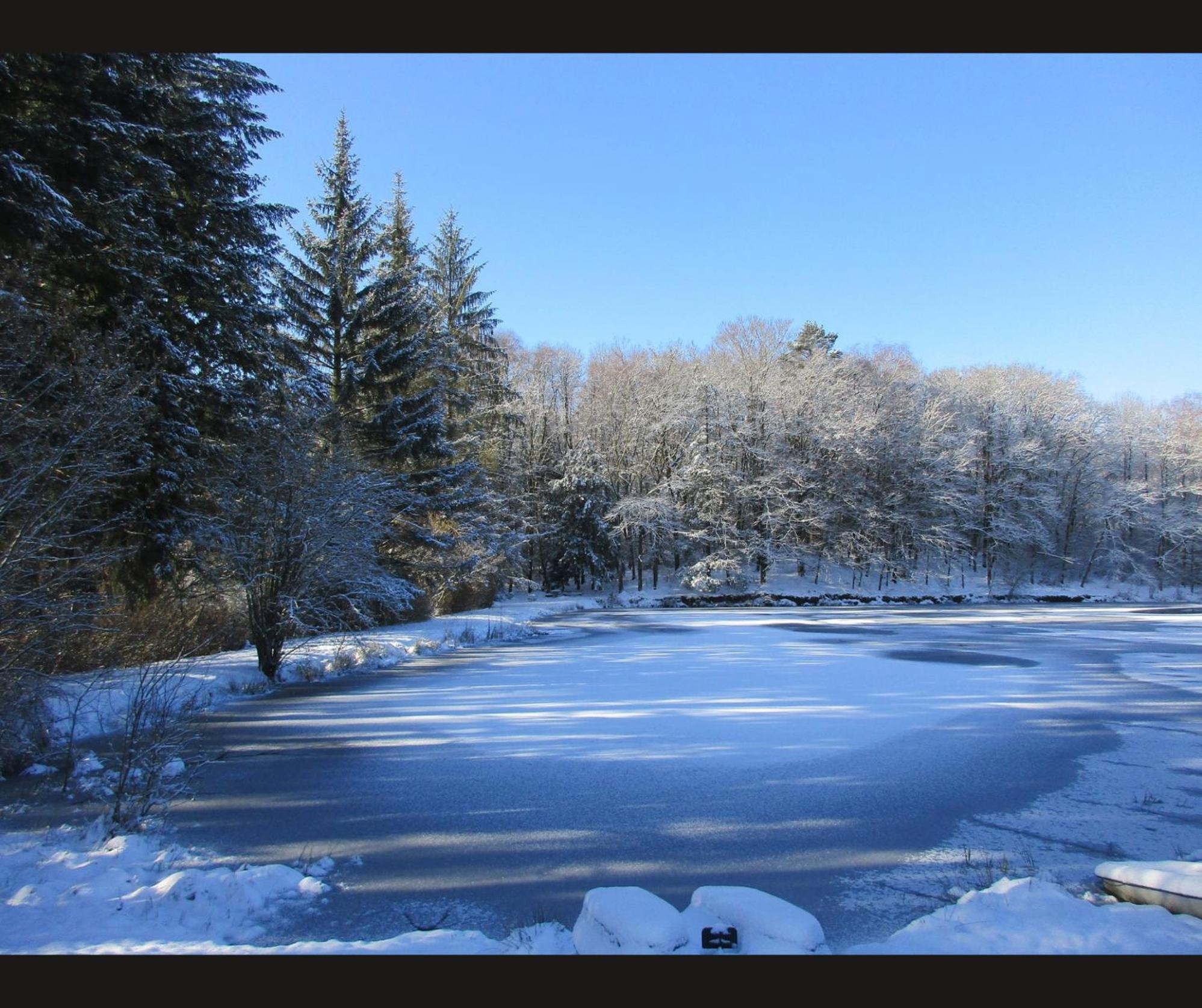 Cabane Limousine Au Bord D'Un Etang Bonnac-la-Côte Exteriör bild